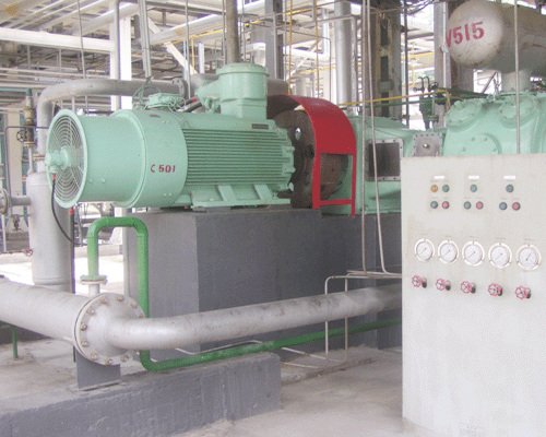 中石化岳陽興長石化股份公司DW-6/22型異丁烯壓縮機