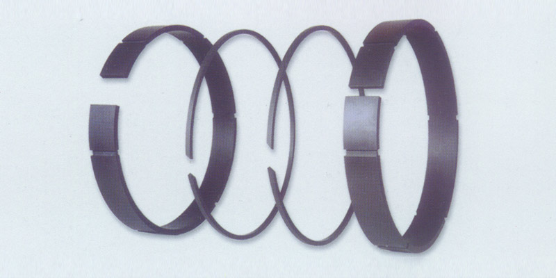 活塞環(huán)、支承環(huán)